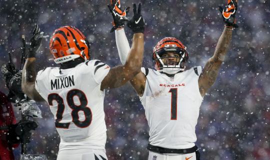 NFL Betting Consensus Cincinnati Bengals vs Baltimore Ravens | Top Stories by squatchpicks.com